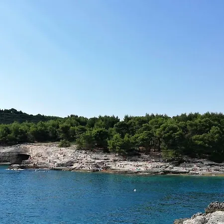 Vidikovac